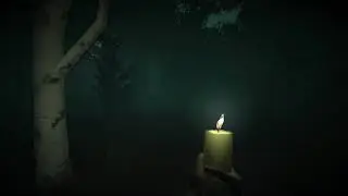 Wick (100%)