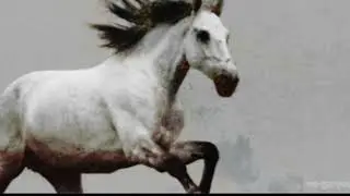 Space Horse (James Wesson Remix) - Botar