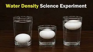 Water Density Science Experiment using Eggs & Salt Water | DIY | howtofunda