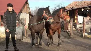 In vizita la Pintea de la Agrij, Salaj - 2026 Nou!!!