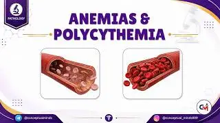 1. Anemias & Polycythemia Explained 🩸 | Hematopathology for Usmle / FMGE and MBBS