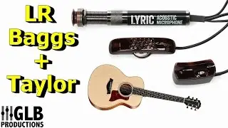 LR Baggs Lyric + Taylor GS Mini