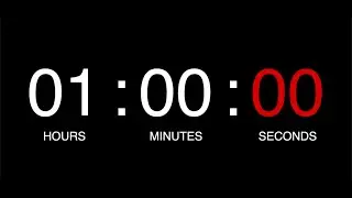 1 Hour Timer | No Music | Ending With Alarm