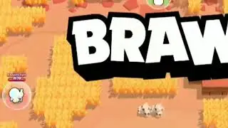 Первый Монтаж Видео