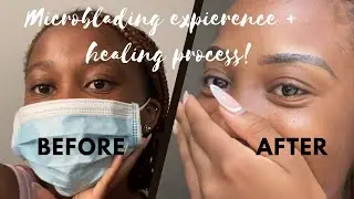 Microblading my eyebrows : My experience & healing process | Namibian YouTuber |