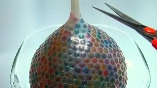オービーズ3333個で風船スクイーズ作ってみた 3333 Orbeez Balloon Experiment
