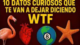 Top 10 datos curiosos🤯