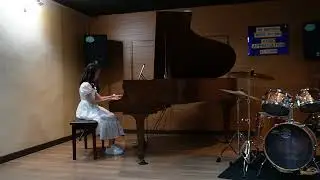 Angry Bird piano cover by Zin Han