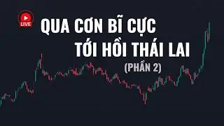 T&iacute;n hiệu hồi phục  | livestream VNINDEX 06/01/2026