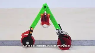 Thermal-Differential Self-Powered Wheelchair