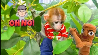Monkey Baby Bon Bon and the Tong Tong Sahure Clash