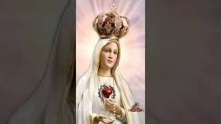 Our Lady of Fatima status Tamil #stmary #catholic #ourladyoffatima #ourladyoflourdes