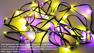 LED Garland RGB WS2812B, 50pcs, IP20 Black cable