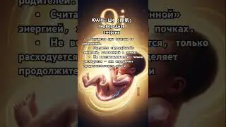 #Qi #энергияжизни #цигун #тайцзи # Qigong #lifeessence