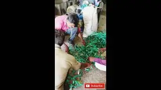 New business idea of plastic pet strap scrap crushing