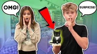 Surprising My Best Friend w/ A NEW PET **SHE CRIED**😭🐱 | Gavin Magnus