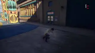 Tony hawk