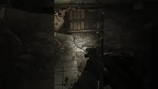 Finding the Labyrinth entrance after killing Sanitar  #escapefromtarkov #pve #sanitar #tarkov