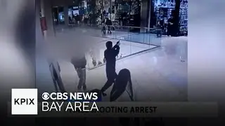 A Teen Behind Bars After the Black Friday Shooting In a San Jose Mall