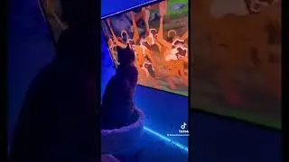 MY CAT REACTED #shorts LION KING SIMBA SCENE. PRICELESS🥰