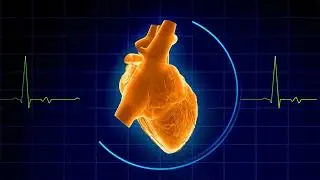 🌍⚛️ The Physics of Everyday Life: How Science Affects Our World ✨🔬