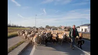 2026 Pastori Laner Mattia e Debora Fedele
