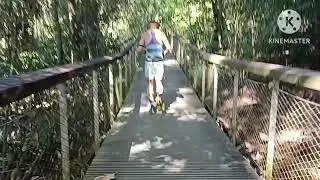 Part-10 Windsor Nature Park //squirrel 🐿️🐿️ trail