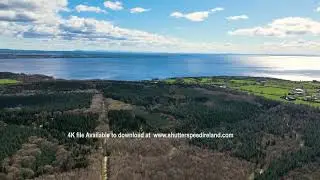 Aerial Video of Randalstown Forest on Lough Neagh Co Antrim Northern Ireland 1 4K & HD
