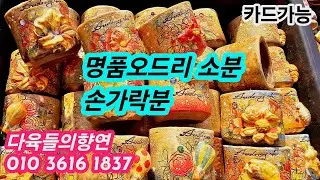 #다육들의향연💗해피크리스마스🎶💗#명품오드리분들중😆소분 손가락분 넘 이쁘고 귀여워😍앙증앙증ㅋ#부산다육농원#다육화분🌸25.12.25/korean succulents plants 💗