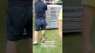 HOW TO ASSEMBLE ALUMINUM DOG CAGE (PAANO MAG ASSEMBLE NG ALUMINUM DOG CAGE)
