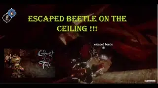 Ghost of a tale - How to reach the beetle in the ceiling ? (No commentary)