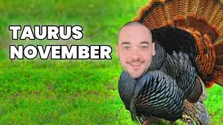 Taurus 