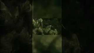 The END dies of old age | Metal Gear Solid 3 SNAKE EATER