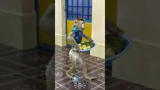 Супергений!!