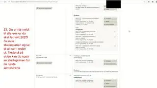 Internasjonale studier bachelor