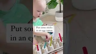 sticks in egg carton