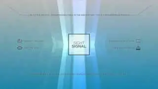 sightsignal - Business Reflections Loop 1