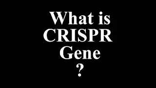 What is CRISPR Gene Editing? | How CRISPR Works Explained Simply