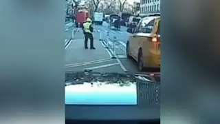 New York carriage horse causes chaos in the streets