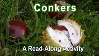 The Teddy Bears Learn How To Find Horse Chestnuts And Play The Game Of Conkers