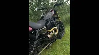 #automobile ddcustom #sportster #fat180 #knobbies #yesitridesjustfine #metalartopia #acaldepaintl