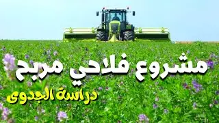 دراسة جدوى مشروع زراعة الفصة الصحراوية ، أرباح شهرية مهمة جدا