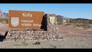 02 11 2020 KOFA NWR