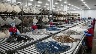 Inside the Stingray Leather Factory &mdash; Exotic Skins to Luxury Goods (Full Process)