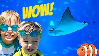 SKY AND FINN AT THE AQUARIUM 1 | Fish for Kids