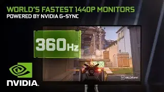 САМЫЕ БЫСТРЫЕ В МИРЕ 1440p мониторы для киберспорта &mdash; на базе NVIDIA G-SYNC