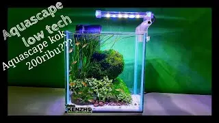 #182 VIRAALLLL!!!!Aquascape 200ribuan,nyoba bikin jadinya kayak gini??