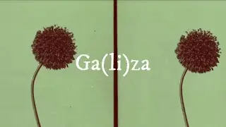 SilvaRedonda - GA(LI)ZA