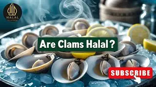 Are Clams Halal in Islam? | Halal Seafood Explained for Muslims
