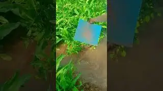 #farmingworld